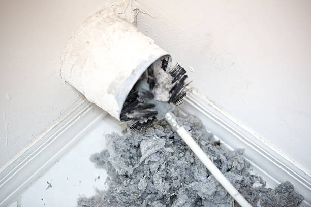 Best Ductwork Cleaning Services  in Vernon, TX